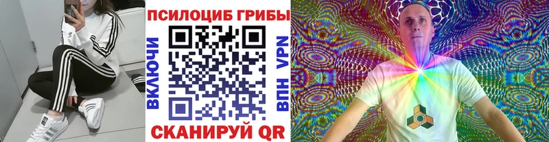 Псилоцибиновые грибы Magic Shrooms  Гаджиево 